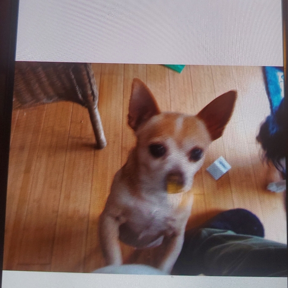 Meet your Posher, Nan kc - Picture 11 of 12